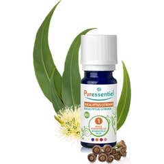 Puressentiel Óleo Essencial Orgânico Eucalipto Limão 10ml