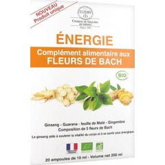 Elixirs &amp; Co Énergie Fleurs de Bach 20amp