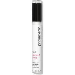 SingulaDerm Xpert Pestañas y Marrones 4ml