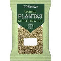 Saco Ynsadiet de anis verde 60g