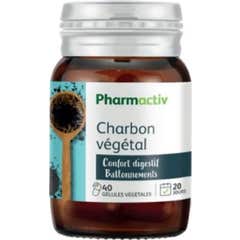 Gelul Vegetariano Farmactiv Charbon 40 Gelul Vegetariano Farmactiv Charbon 40