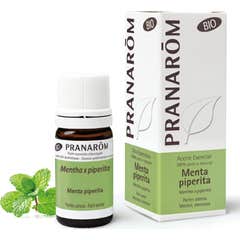 PranarÌ «m óleo essencial de hortelã-pimenta BIO 5ml