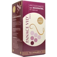 Valefarma Panace Vid Serum Antioxidante 60caps