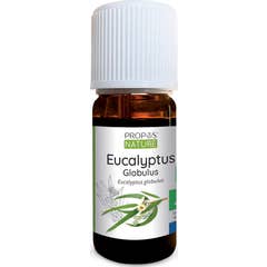 Proposta Natureza Eucalipto Orgânico Globulus Óleo Essencial 10ml