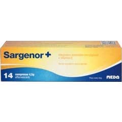 SARGENOR MAIS 14CPR