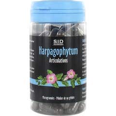 Sidn Harpagophytum Gelu Bt90