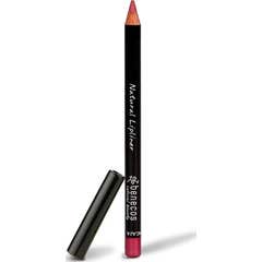 Lápis de lápis Benecos forro marrom 1d