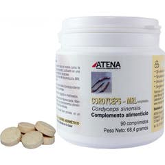 Atena Cordyceps MRL 90comp