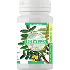 EcoSalute Boswellia 100caps