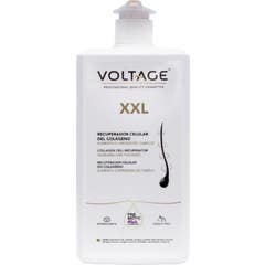 Tratamento Intensivo de Colágeno de Tensão 1000ml