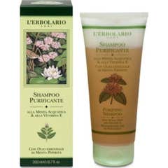SHAMPOO PURIF MENT PURIF ACQ/VITAM E