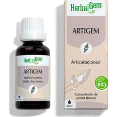 Herbalgem Artigem Articulações BIO 30ml