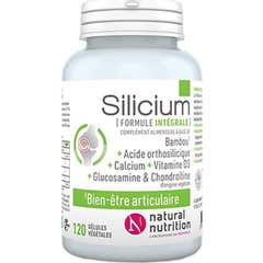 Natural Nutrition Silicium 120caps