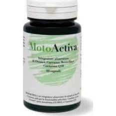 Estúdio Motoactiva 60Cps