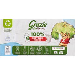 Grazie Natural Lenços Caixa 80 Folhas 80 unid.
