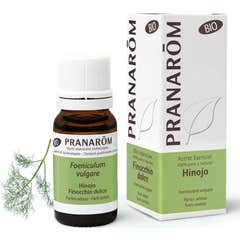 PranarÃ «m óleo essencial de erva-doce BIO 10ml