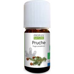 Sobre a Natureza Ele Hemlock Orgânico 5ml