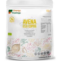 Energy Feelings Copos de Avena Eco Vegan Sin Gluten 1kg