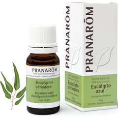 PranarÌ «m 10 óleo essencial de eucalipto azul PranarÌ «m 10 óleo essencial de eucalipto azul