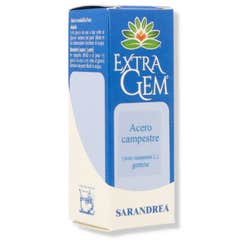 Extragem Maple Maple Camp.Gems 20Ml