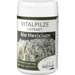 Pilze Wolhrab Lion's Lion's Mane Hericium Bio 60caps