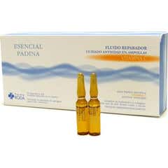 Derex Fr Esencial Padina Vit C 30 Ampollas