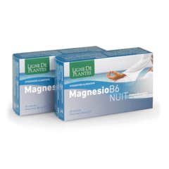 Ligne de Plantes Magnesio B-6 Nuit 72caps