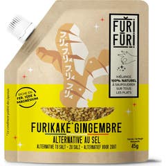 Furi Furi Furikake Gengibre 45 gr