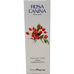 PromoPharma Rosa Mosqueta 100ml