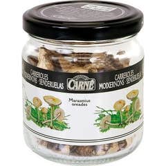 Conservas Carné Dehydrated Mushrooms Bio 15g