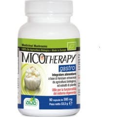 Micoterapia Gastro 90Cps