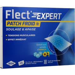 Flect'Expert Patch Frio Arnica Ação Direcionada 5 Unidades