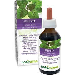Sangalli Melissa Tintura Madre 100ml