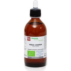 Fitomedical Espino Bio Glicerina Macerada 200ml