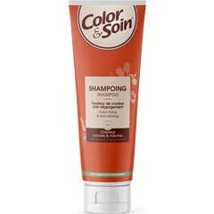 Color & Soin Champô Cabelo Pintado com Madeixas 200 ml