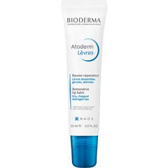 Bioderma Atoderm Lèvres Bálsamo Labial Reparador 15ml Bioderma Atoderm Lèvres Bálsamo Labial Reparador 15ml