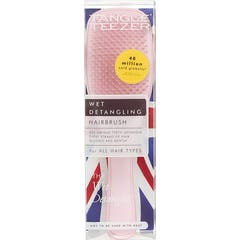 Emaranhado Teezer Detangler Penteador Molhado Detangler Penteado Molhado 1 peça