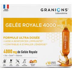 Granions Geleia Real 4000mg 10 Ampolas