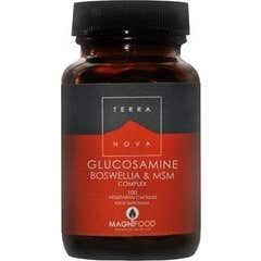 Terranova Glucosamina Boswellia Msm Complexo 100caps
