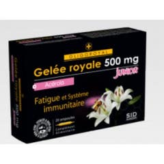 Oligoroyal Gr Acer Jun Sidn Amp 20
