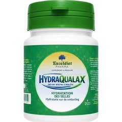 Exceldiet Pharma Hydraqualax 90 Gélules