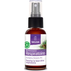 Brumessência Respiratória Weleda 50ml