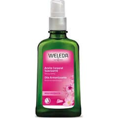 Óleo de corpo rosa roseeda 100ml