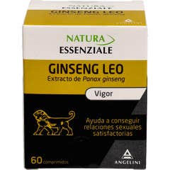 Ginseng Leo 60comp