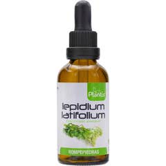 Plantis Lepidium Latifolium Extract Stone Breaker 50 ml