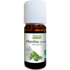 Proposta Óleo Essencial Orgânico da Natureza Hortelã Pimenta 10ml