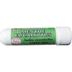 Vecteur Santé Inalador Menta Eucalipto 1 Unidade