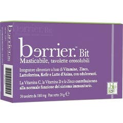 Berrier Bit 24comp