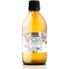 Terpenic Labs Óleo de Rosa Mosqueta Óleo Vegetal Virgem 100ml