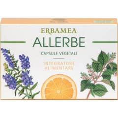 Erbamea Allerbe Sin Gluten 24caps